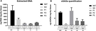 Comprehensive ex vivo and in vivo preclinical evaluation of novel chemo enzymatic decellularized peripheral nerve allografts